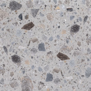 reg5094_aggloceppo_light